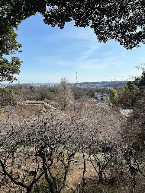 百草園見晴台からの絶景