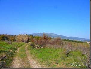 P1130484