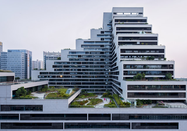 green roof