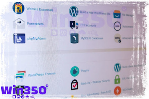 Bluehost Wordpress Hosting