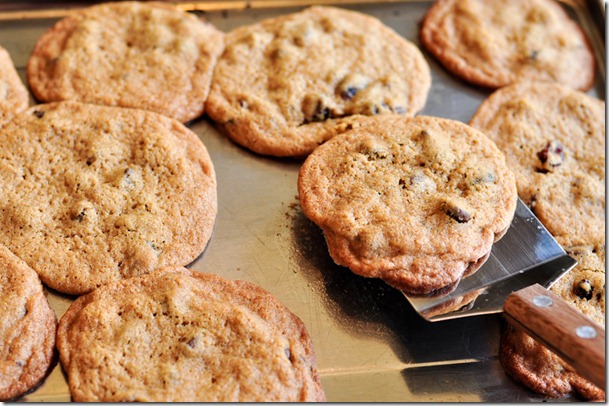 cran chocolate chip cookies