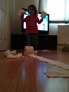 toilet roll fun