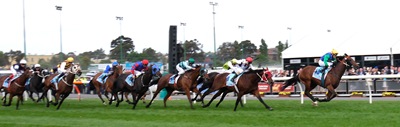 cox plate_finish