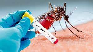 How to safe from  Dengue fever.?