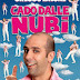 Cado dalle nubi (2009)