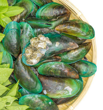 green lipped mussels for dogs