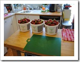 strawberries 2011-06-02 001