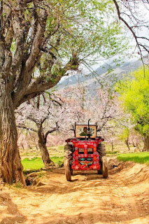 Beautiful Oiew Of Chundah Valley وادی چنداہ کا خوبصورت نظارہ