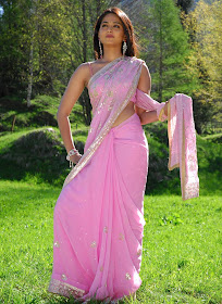 Anushka hot Saree Photos