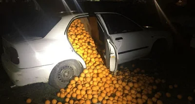 Carro abarrotado de laranjas