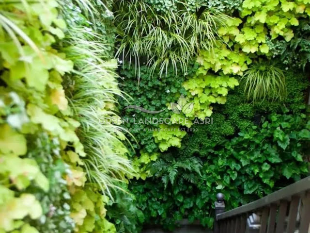 Jasa Vertical Garden Sidoarjo Profesional - Pembuatan Taman Vertikal Tanaman Asli