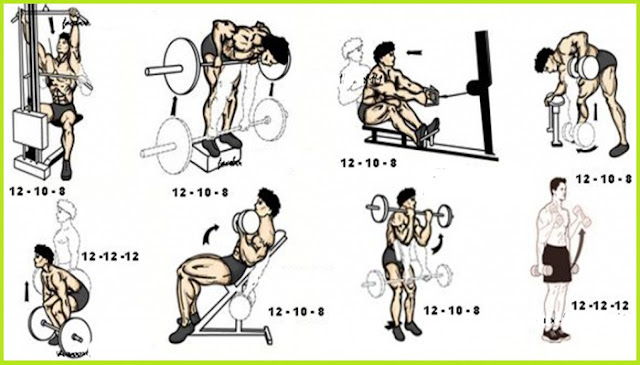 Back and Biceps Workout