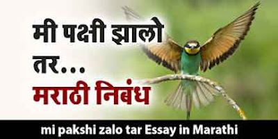 Mi Pakshi Zalo Tar Nibandh, मी पक्षी झालो तर मराठी निबंध, mi pakshi zalo tar essay in marathi