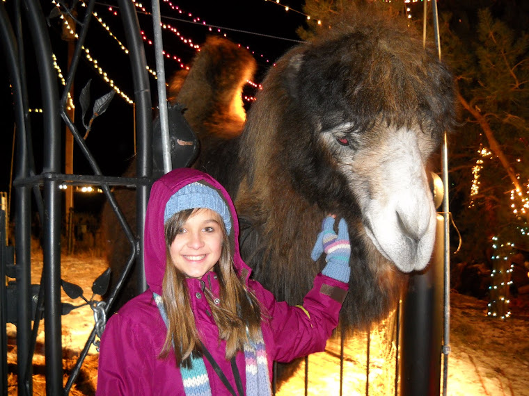 Me and The Camel