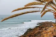 surf30 qs3000 wsl rip curl pro search taghazout bay 2023 Line Up  23Morocco 7555 DamienPoullenot