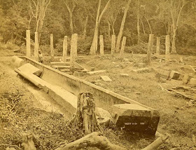 Anuradhapura, Abhayagiri, rice canoe pieces, photos last century, stone trough, ruins