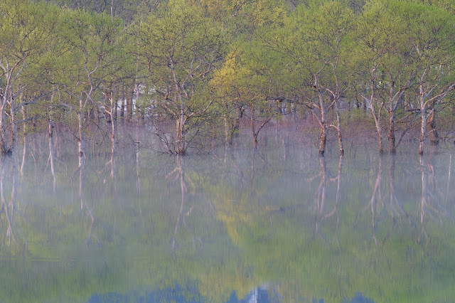 #photo #landscape #sigma #foveon #sdquattroh #japan #yamagata #iide #写真 #風景写真 #山形帝國 #山形県 #飯豊町