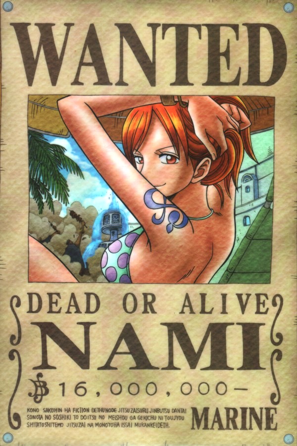 As a navigator Nami who often save the ship from the enormity of the Grand