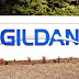 Gildan Activewear