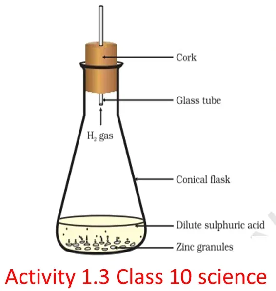 Explain Activity 1.3 Class 10 NCERT Science