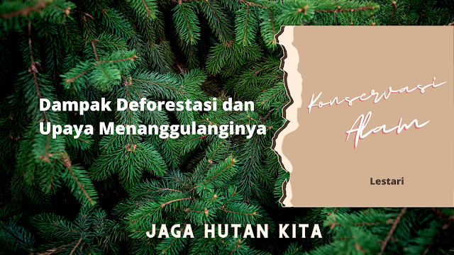 Dampak Deforestasi dan Upaya Menanggulanginya, alami Lestari, konservasi alam