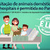 Lei autoriza a visita de animais domésticos em hospitais do Paraná