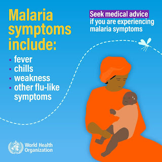 What you need to do when affected by malaria 