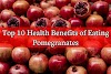 Top 10 Health Benefits of Eating Pomegranates