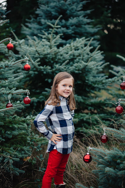 spotted stills, jenn pacurar, christmas tree, christmas tree farm, holiday photos, christmas photos, family holiday photos, ornaments