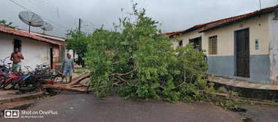  Fortes ventos voltam a provocar estragos em Olho d'Água das Cunhãs