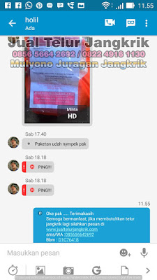 Testimoni 2 Jualan Telur Jangkrik Laris Pelanggan Bahagia