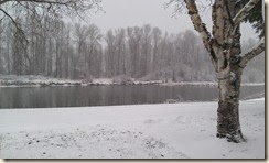 IMAG0629