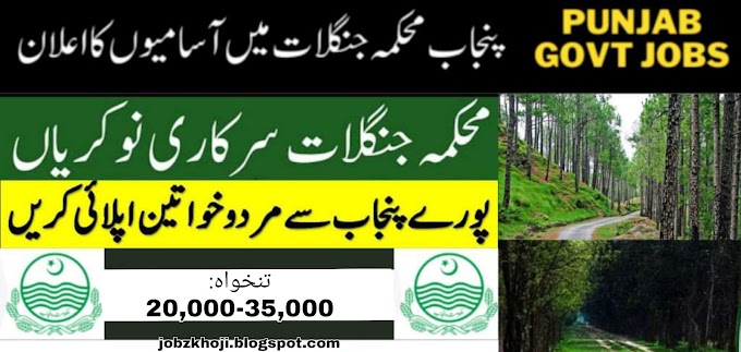 New Govt Jobs in Forest Department of Punjab New Government 2022 - Jobz Khoji