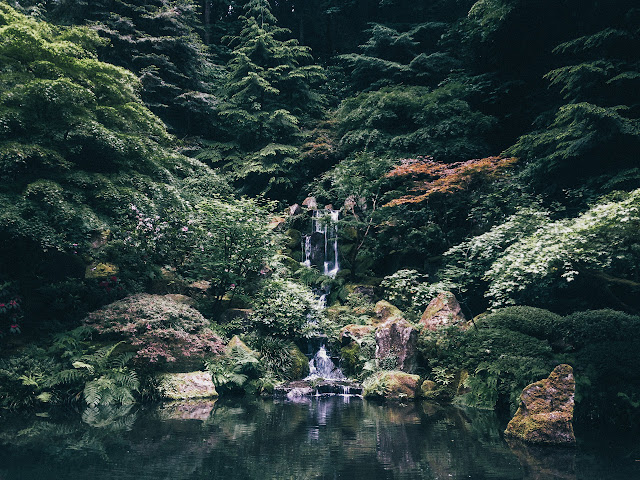 http://leaberphotos.tumblr.com/post/146013283176/portlandjapanesegarden052516