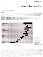 MOLECULAR GENETICS CHAPTER - 1