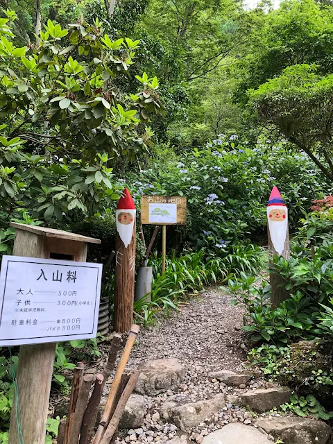 南沢あじさい山の入山口