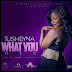 Baixar Musica: Tusheyna - What You Did (prod. by TroubleMaker) 