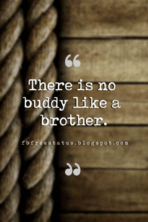 quotes about brothers, There is no buddy like a brother.