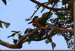 IMG_1123