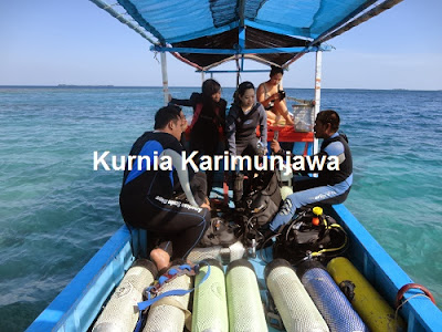 paket diving karimunjawa