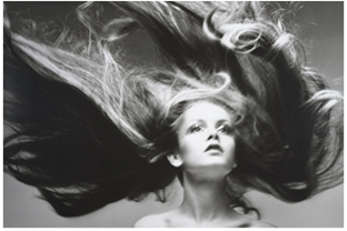 Richard Avedon Palm Springs Art Museum 