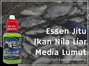 Essen Ikan Nila Liar Media Lumut Paling Terpercaya!!