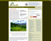 Blogspot Template 2010