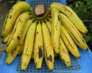 pisang ambon kuning