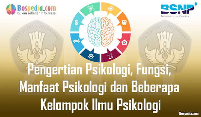 Pengertian Psikologi, Fungsi, Manfaat Psikologi Dan Beberapa Kelompok Ilmu Psikologi