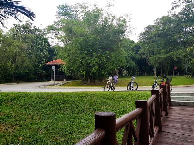 Illy ariffin.com: Pengalaman ke Taman Wetland Putrajaya
