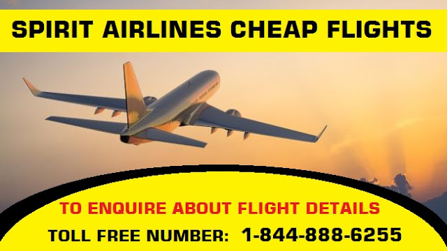 spirit airlines cheap flight