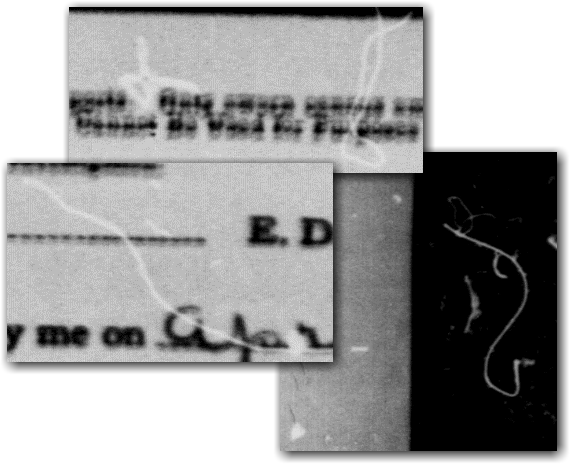 Imperfections in the 1940 census microfilm