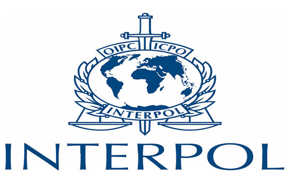 Interpol arrests 75 cybercrime suspects ‘linked’ to Black Axe