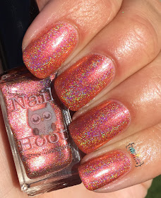 Nail Hool Leviticus Holo'd